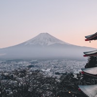 加拿大枫叶与足球元素结合的主办国标识