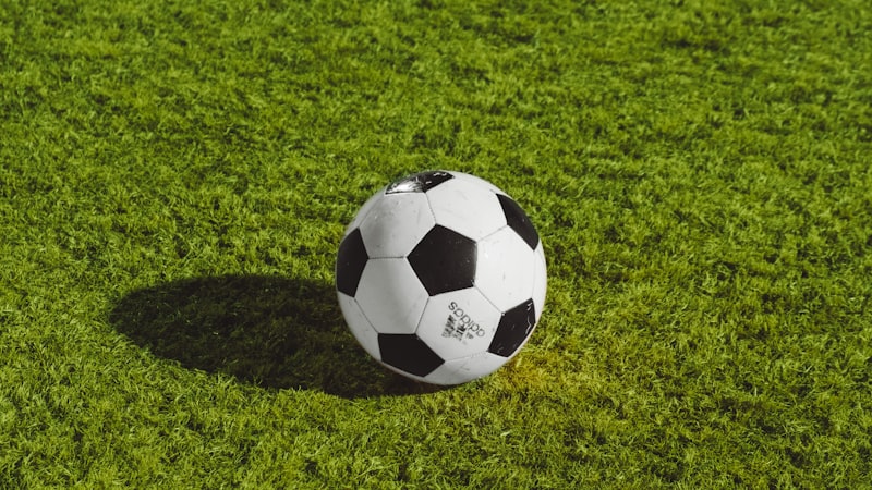 国际足联FIFA官员考察2026世界杯主办城市交通规划